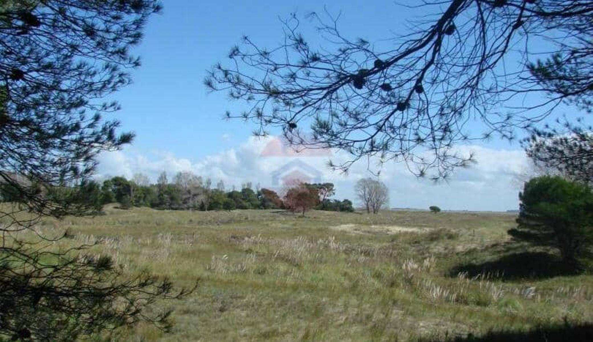 TERRENO | CHACRA MARITIMA LOTE 160 — foto 5