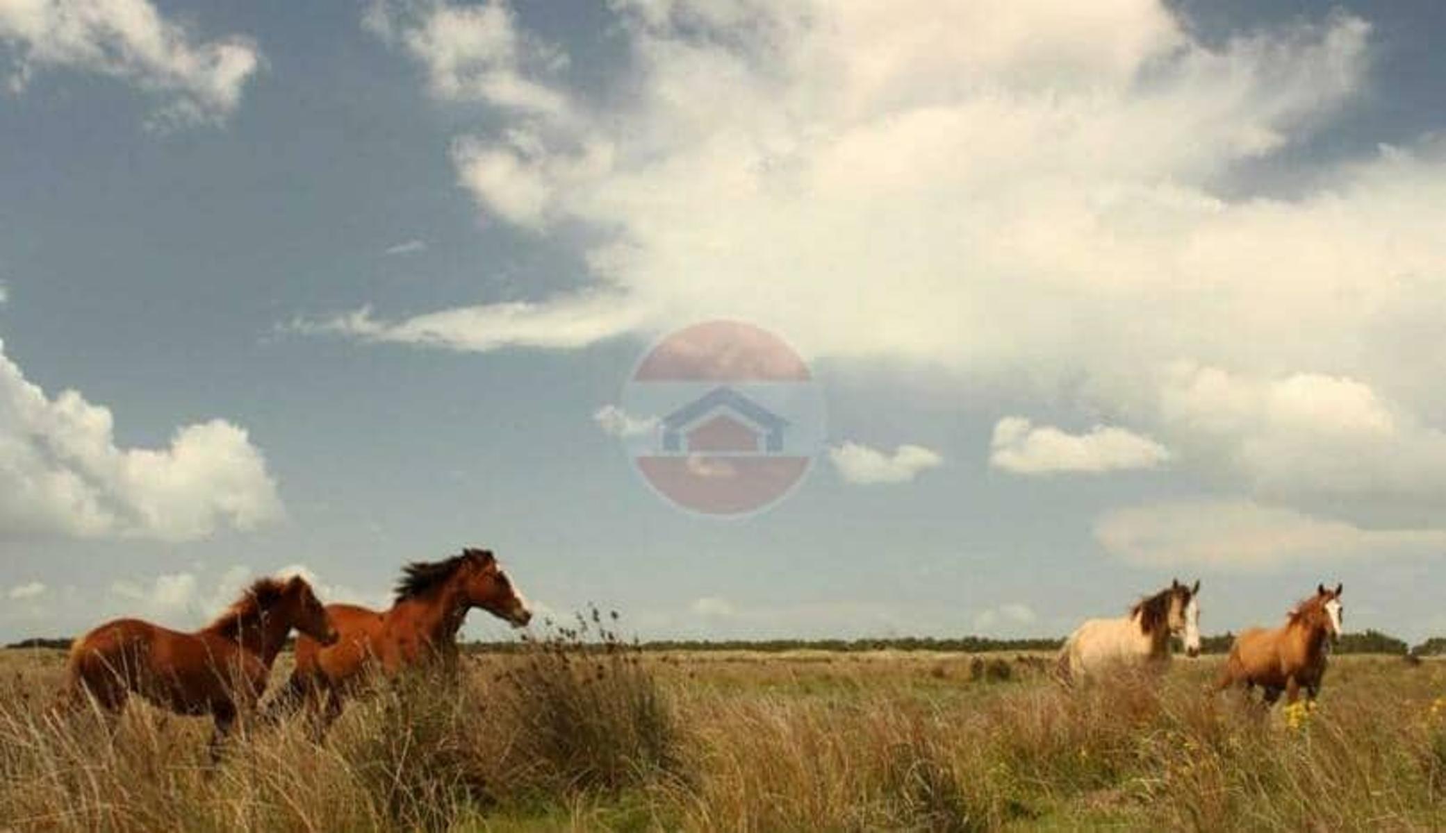 TERRENO | CHACRA MARITIMA LOTE 160 — foto 8