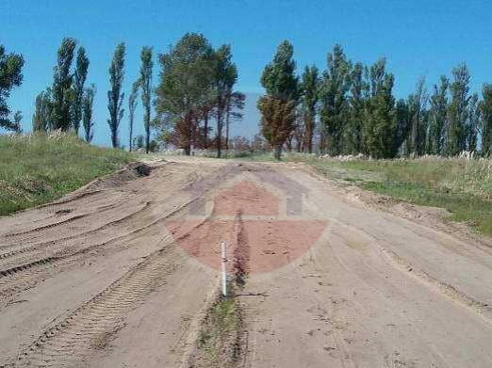 TERRENO | CHACRA MARITIMA LOTE 160 — foto 15