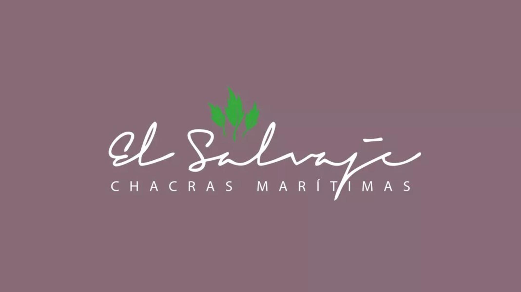 REPLUS Emprendimiento El Salvaje, Chacras Maritimas — foto 10