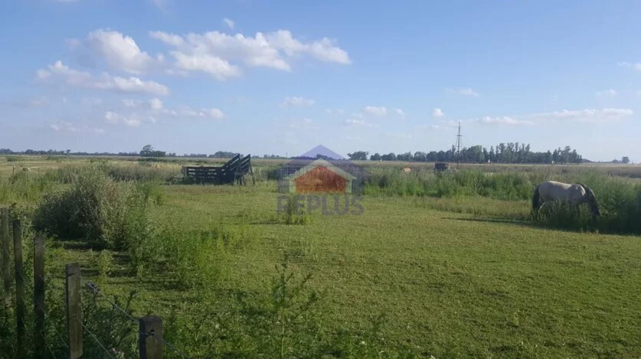 Replus Vende Oportunidad Campo 11ha Con Casa Y Galpon - 7