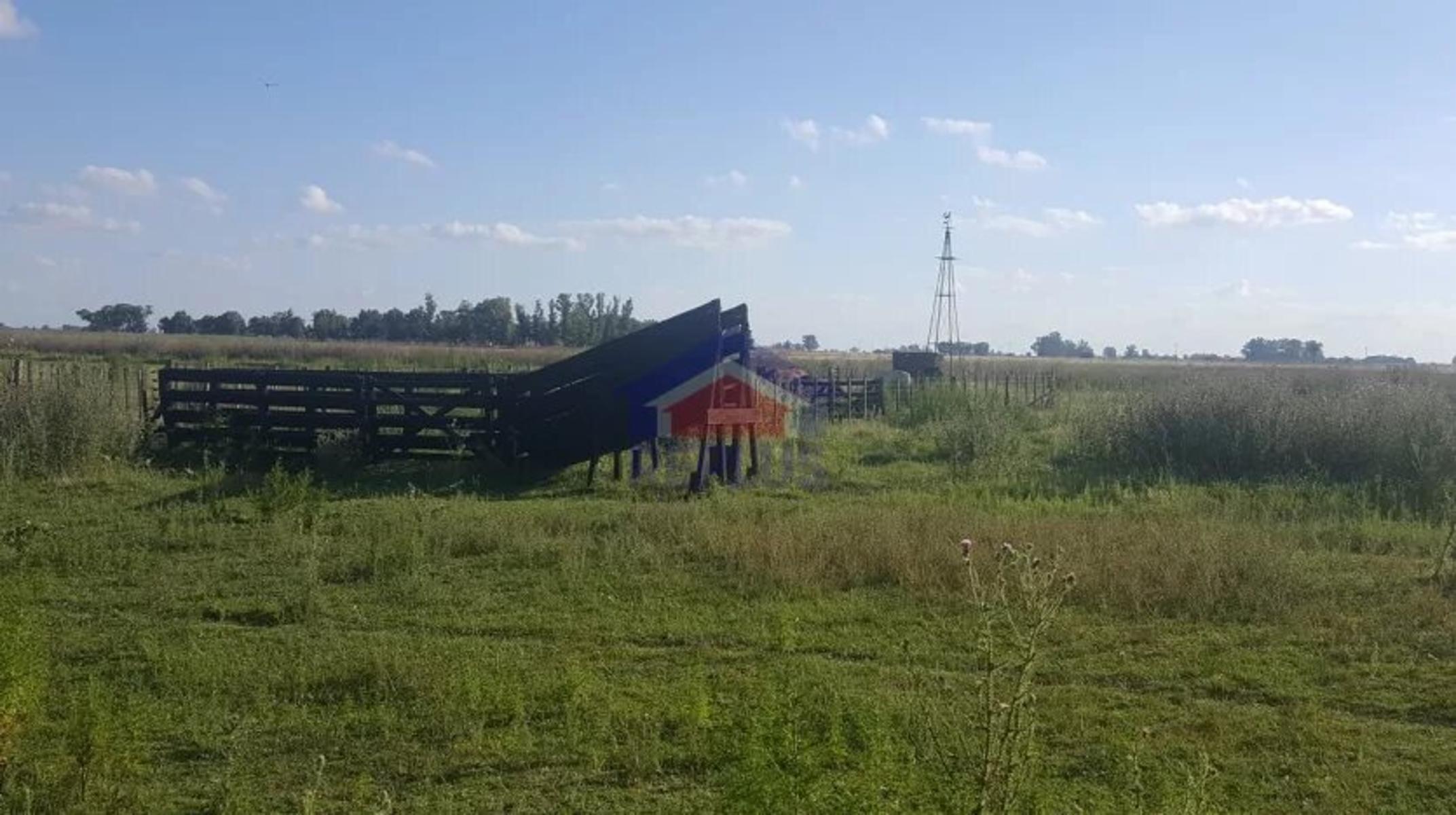 Replus Vende Oportunidad Campo 11ha Con Casa Y Galpon - 8