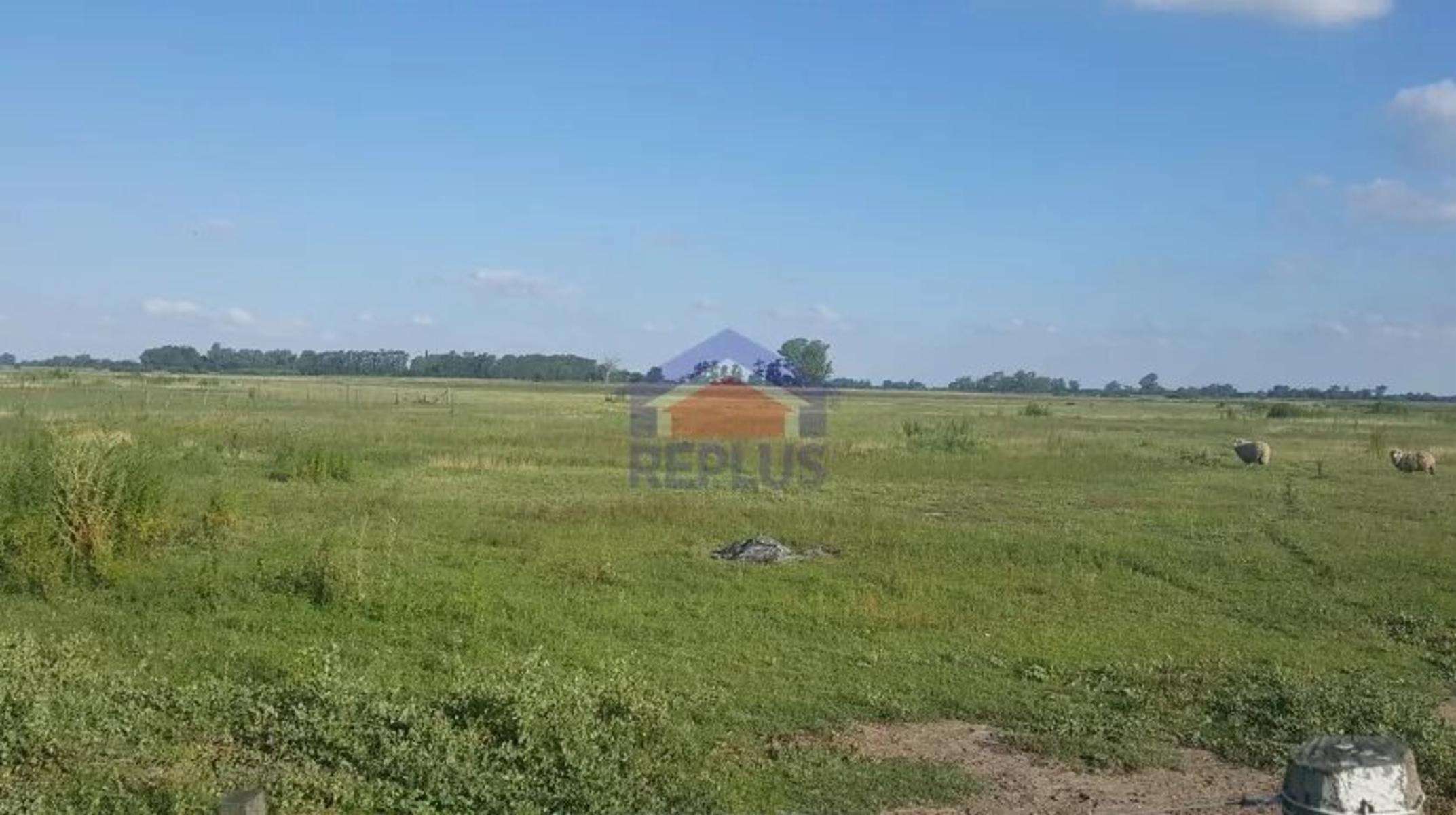 Replus Vende Oportunidad Campo 11ha Con Casa Y Galpon - 10