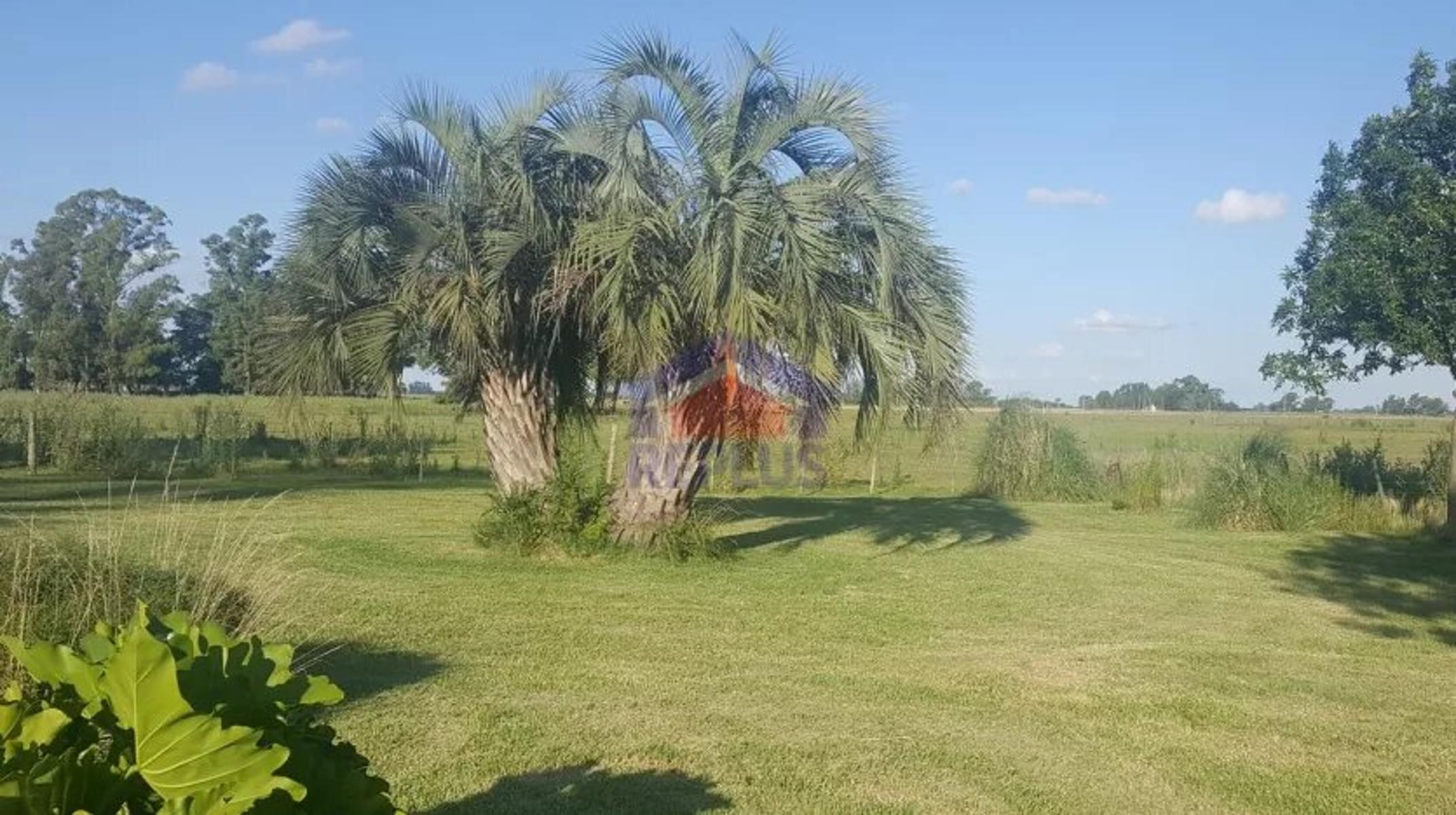 Replus Vende Oportunidad Campo 11ha Con Casa Y Galpon - 11