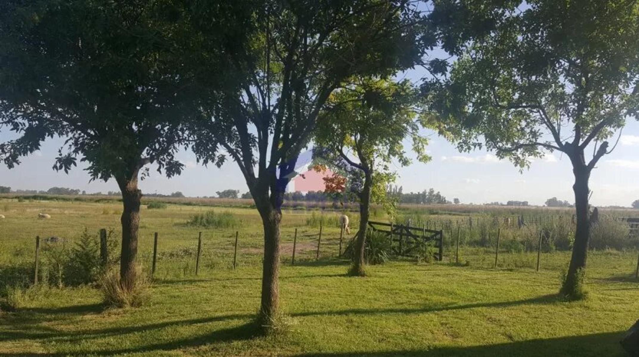 Replus Vende Oportunidad Campo 11ha Con Casa Y Galpon - 12