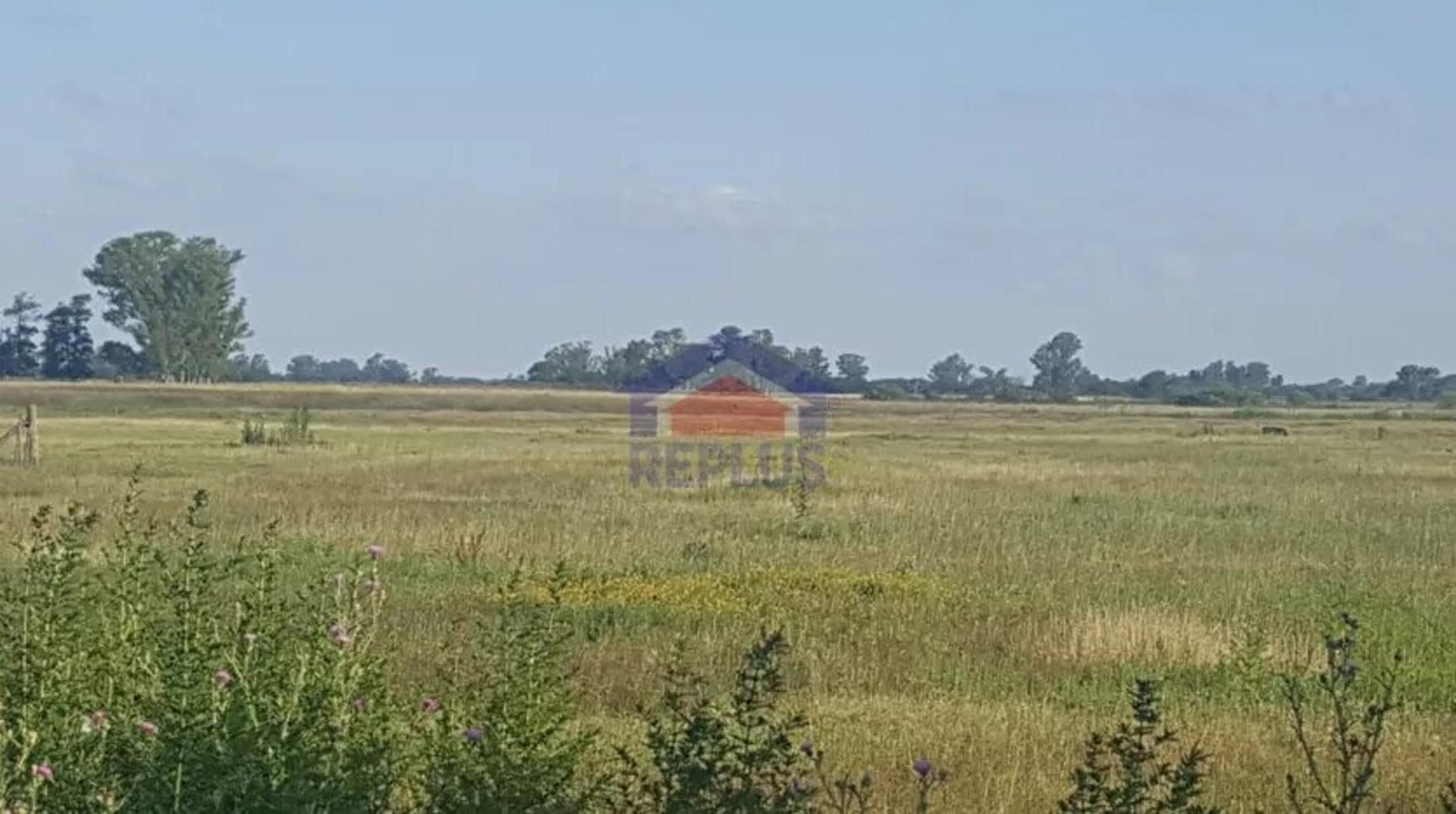 Replus Vende Oportunidad Campo 11ha Con Casa Y Galpon - 13