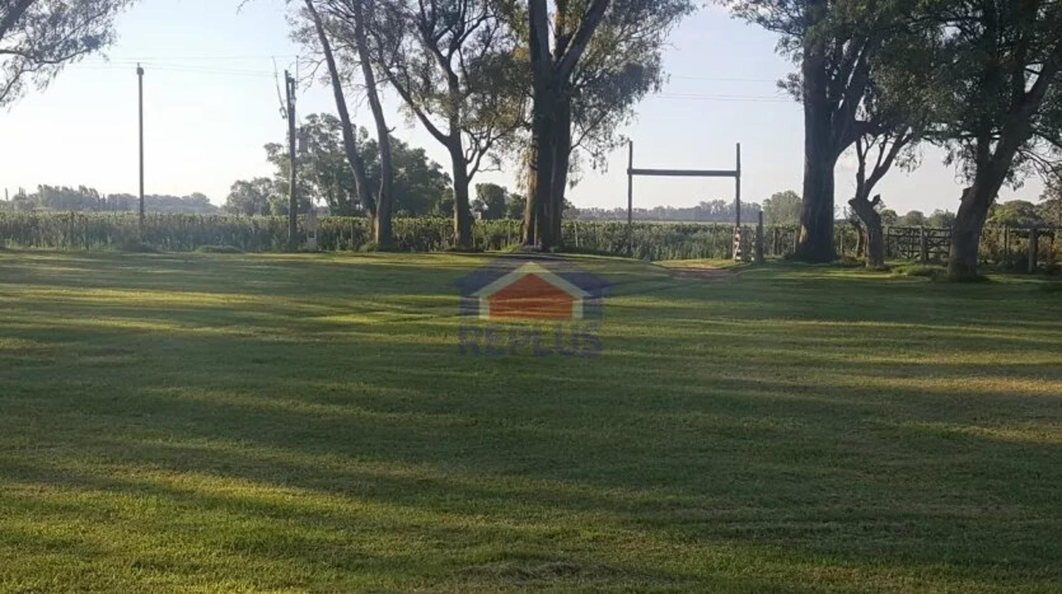 Replus Vende Oportunidad Campo 11ha Con Casa Y Galpon - 16