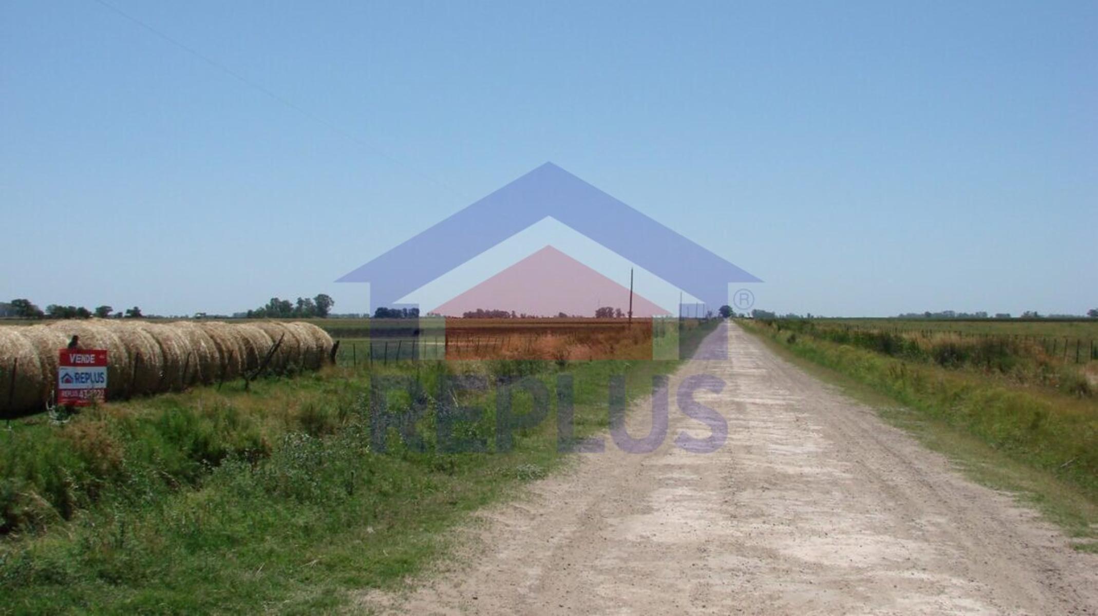 EXCELENTE CAMPO DE 42 HECTÁREAS GANADERO EN VENTA EN PEHUAJO - 8