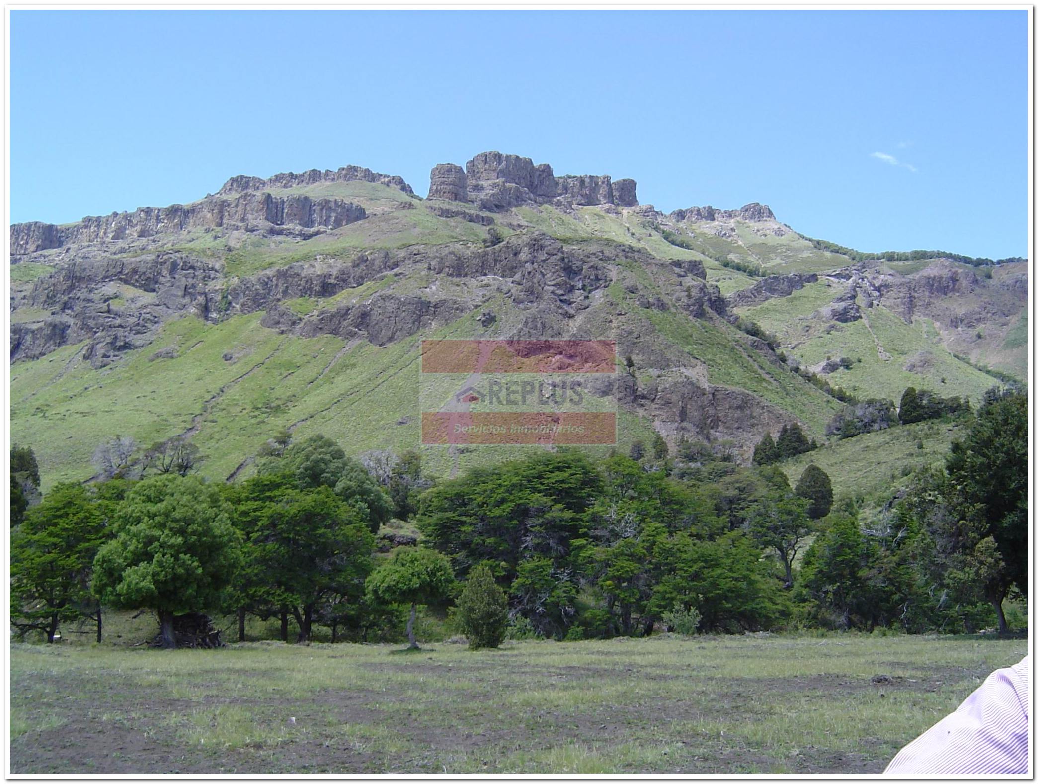 Campo I 73 Has + 3 casas I 600 M2 - 15