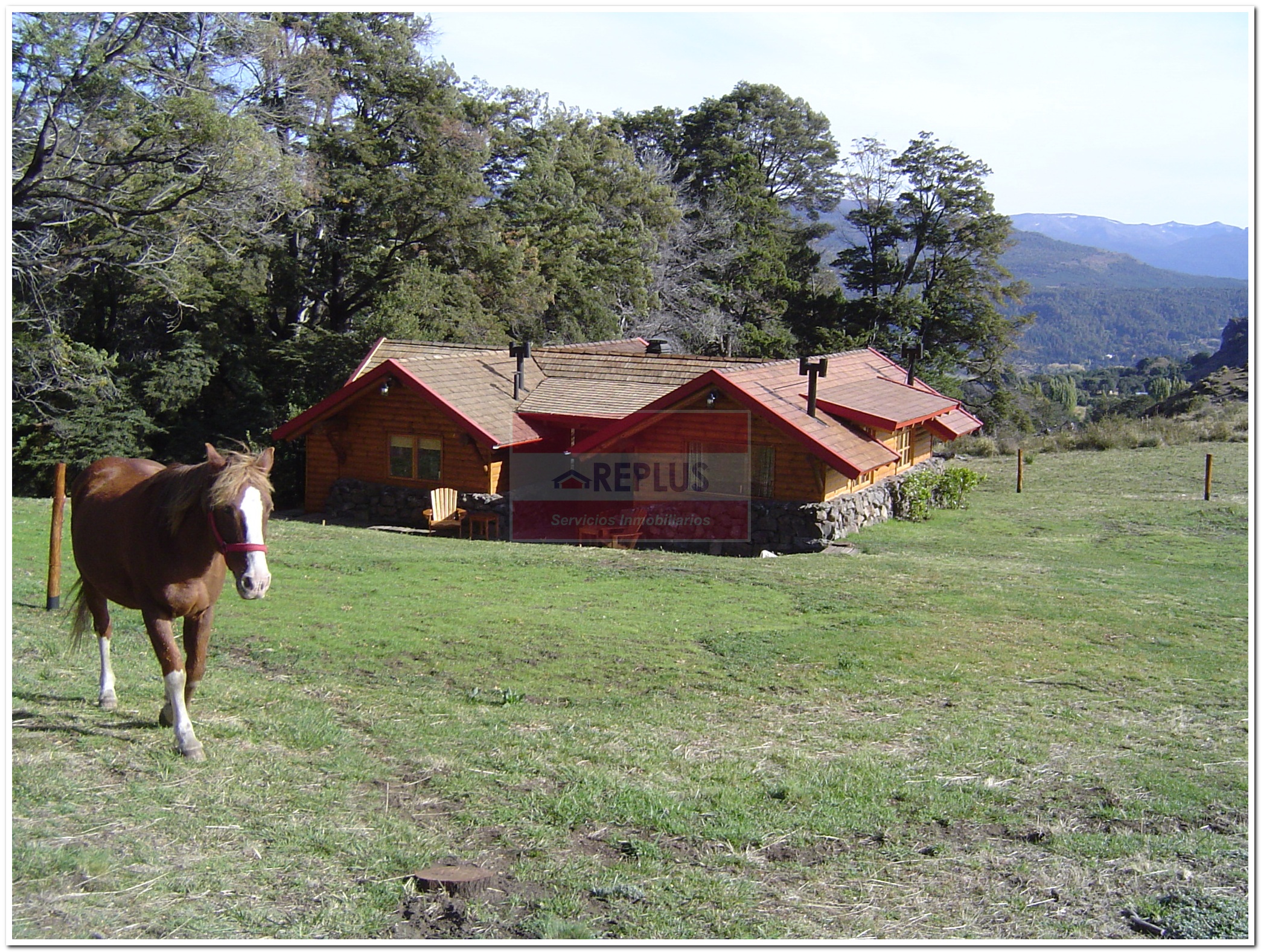 Campo I 73 Has + 3 casas I 600 M2 - 23