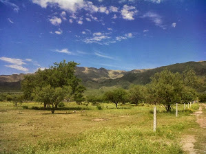 Oportunidad en San Luis! Ultimo Lote 785m2 $170.000 excepcional entorno serrano - 1