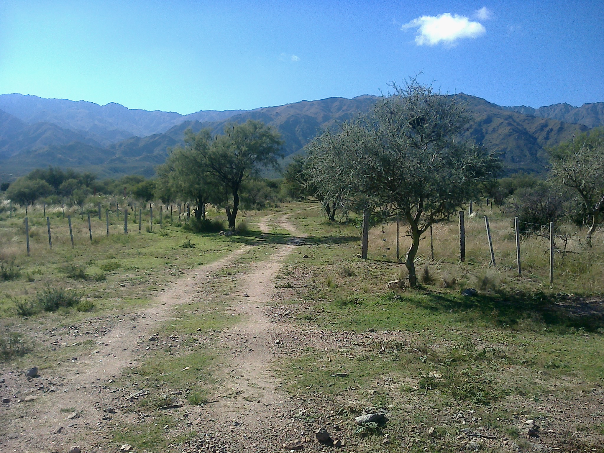 Terreno 1000m2 al pie de las sierras centrales de San Luis - 2