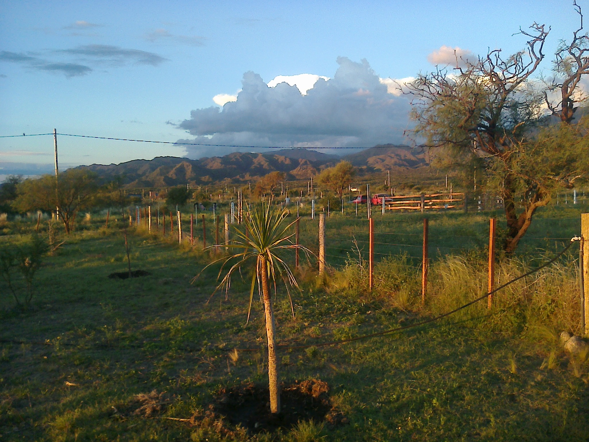 Terreno 1000m2 al pie de las sierras centrales de San Luis - 3