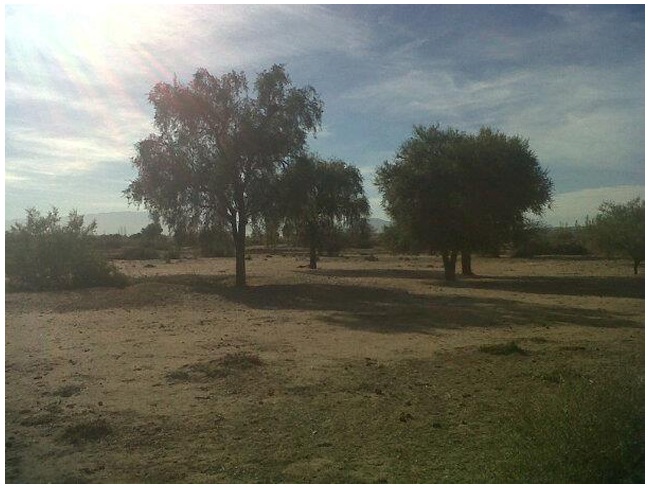 Terrenos Lotes oportunidad en San Luis!! a 5 minutos de la ciudad sobre ruta 7 - 1