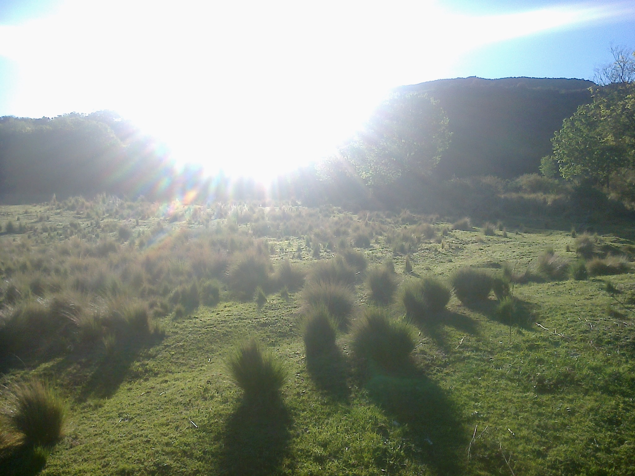 Excepcionales lotes terrenos en Estancia Grande San Luis - 6