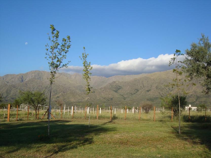 zona serrana de san luis imperdibles terrenos desde $85.000 - 5