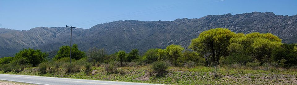 VENDO 1ha Villa Larca, sobre ruta 1 OPORTUNIDAD - 5