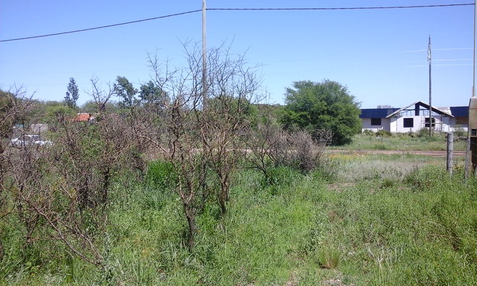 Propiedad 1430m2 con dos cabañas OPORTUNIDAD - 2