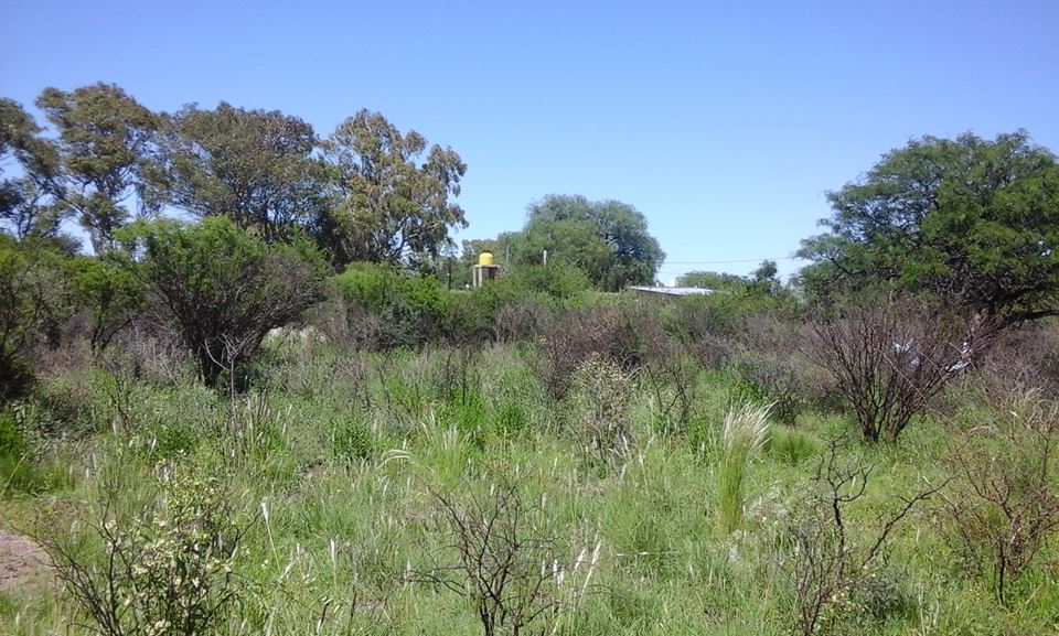 Propiedad 1430m2 con dos cabañas OPORTUNIDAD - 4