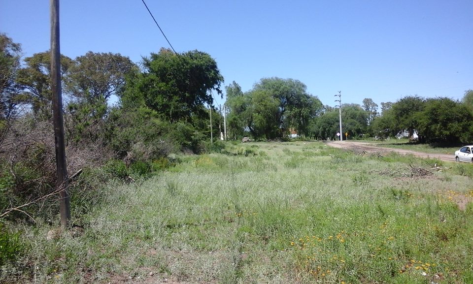 Propiedad 1430m2 con dos cabañas OPORTUNIDAD - 5