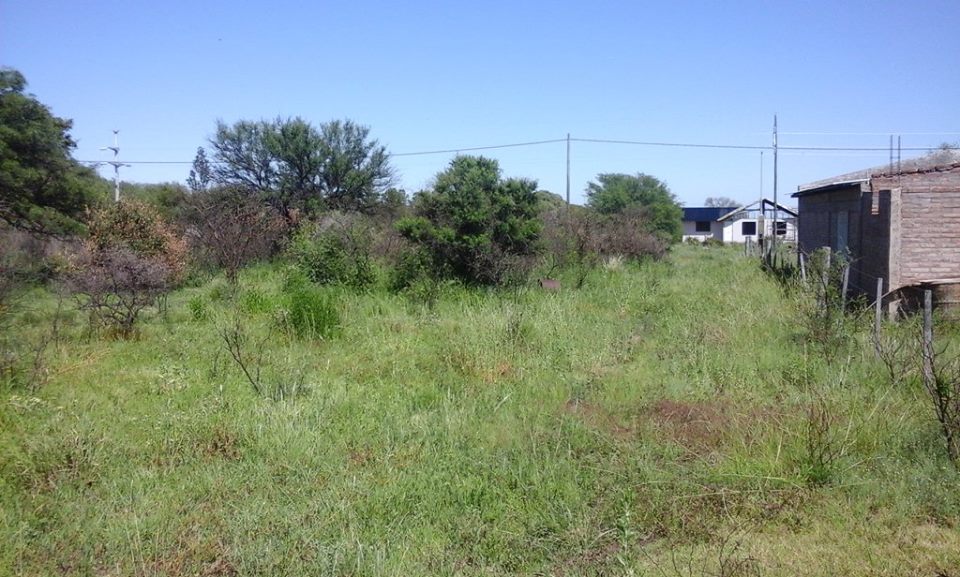Propiedad 1430m2 con dos cabañas OPORTUNIDAD - 7