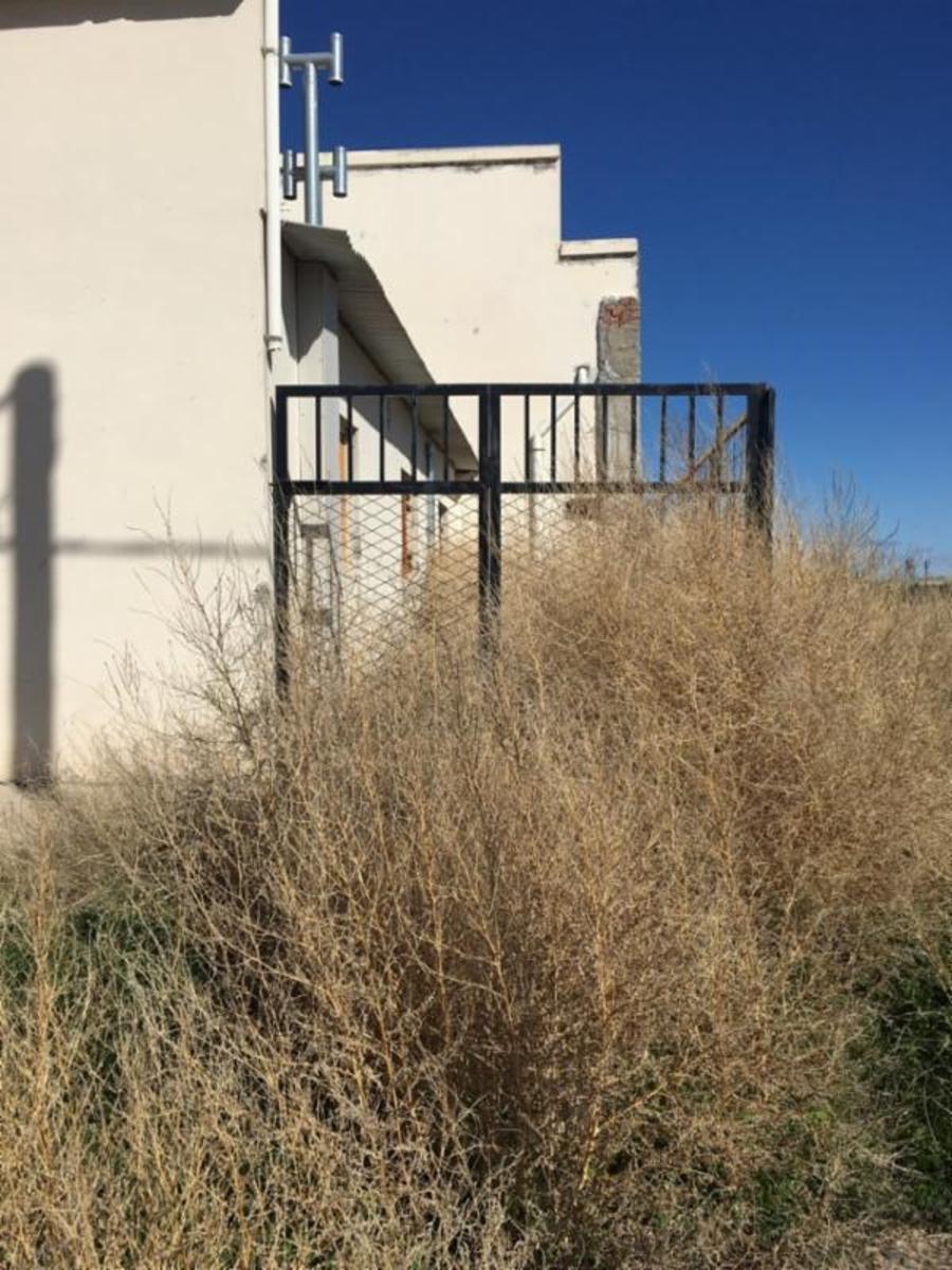 TRELEW -CHUBUT- GRAN GALPON CON VIVIENDA Y OFICINA - 6