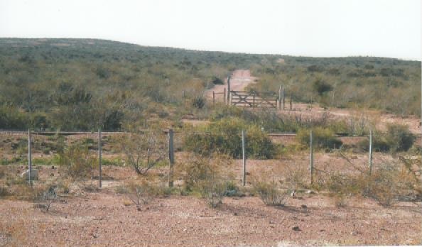 RETASADO--CAMPO GANADERO EN VALCHETA-PCIA DE RIO NEGRO- 8.000 HECTÁREAS - 2