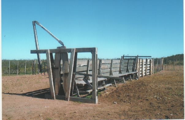 RETASADO--CAMPO GANADERO EN VALCHETA-PCIA DE RIO NEGRO- 8.000 HECTÁREAS - 4