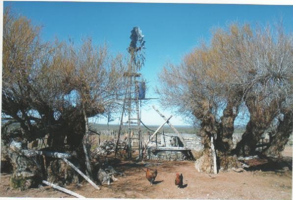 RETASADO--CAMPO GANADERO EN VALCHETA-PCIA DE RIO NEGRO- 8.000 HECTÁREAS - 5