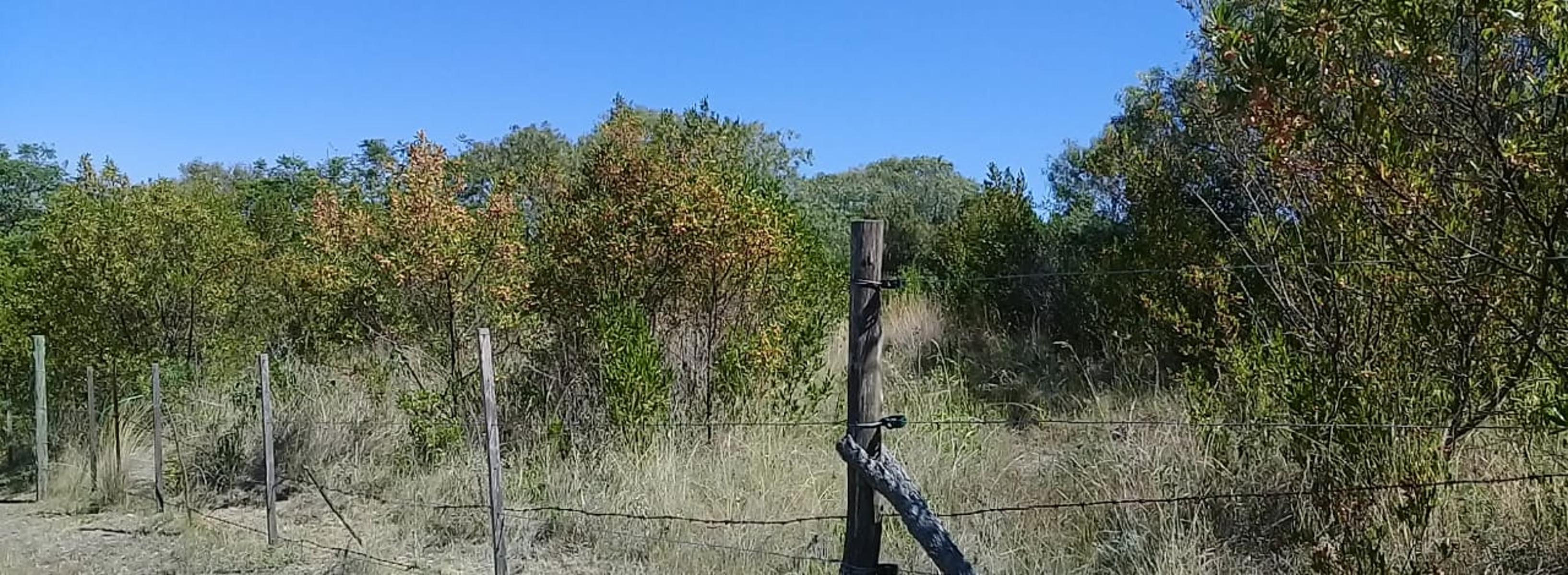 25 HAS PARA MÚLTIPLES USOS ZONA, CLUB DE CAMPO & GOLF LAS COLINAS - 3