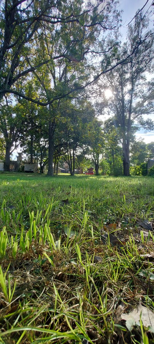 Hermoso Terreno en venta, Villa Urquiza, Entre Ríos — foto 4