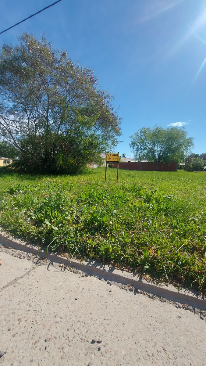 Vendo Artigas casi Marcelino Roman. 450 m2