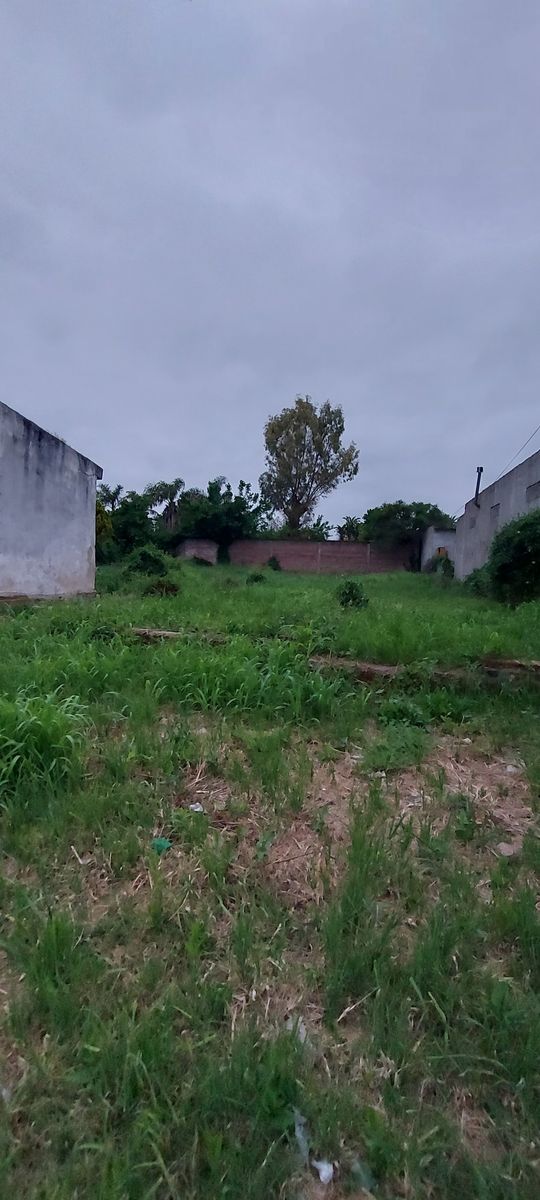 San Benito, terreno en venta- Único - 2