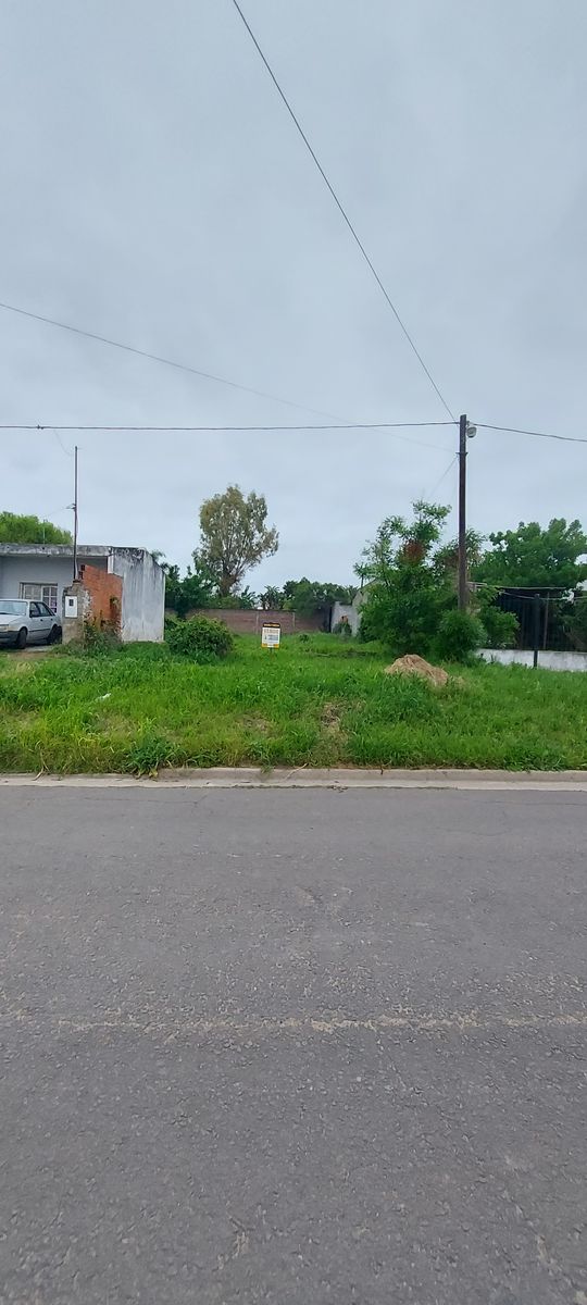 San Benito, terreno en venta- Único - 5