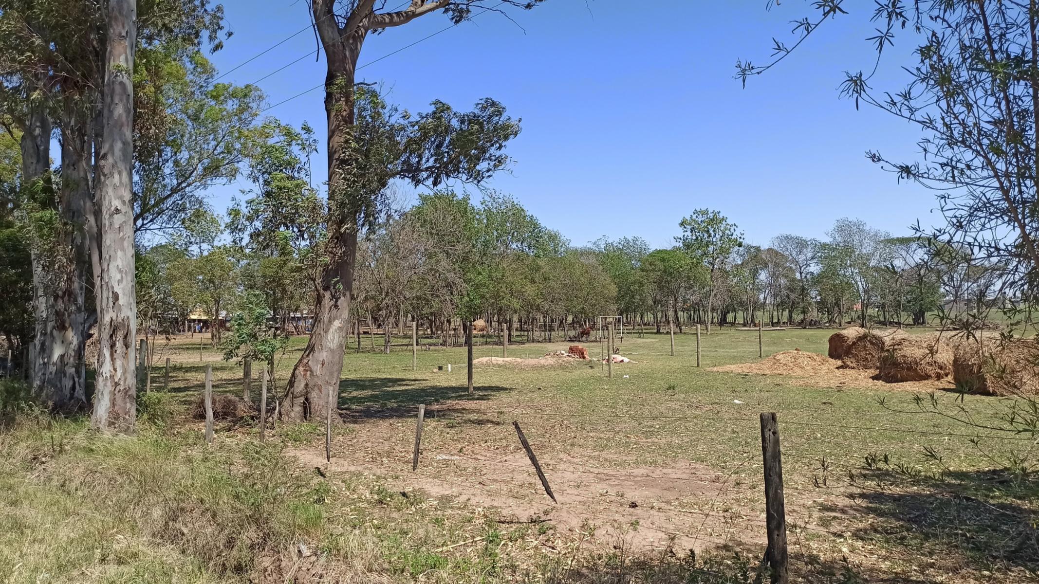 VENTA - TERRENO - EN ARROYO SECO — foto 6