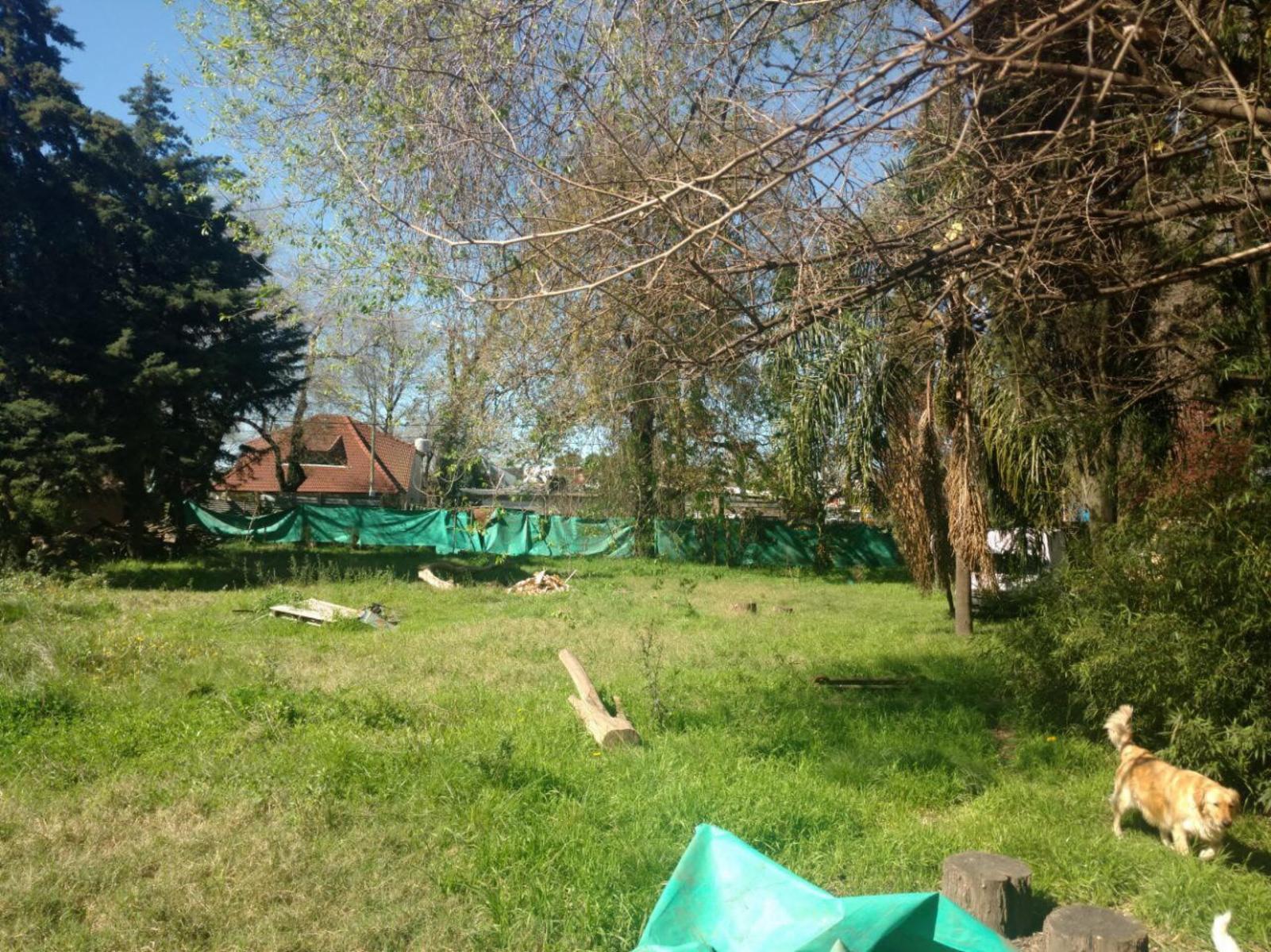 LOTE A MTS DE COLECTORA
