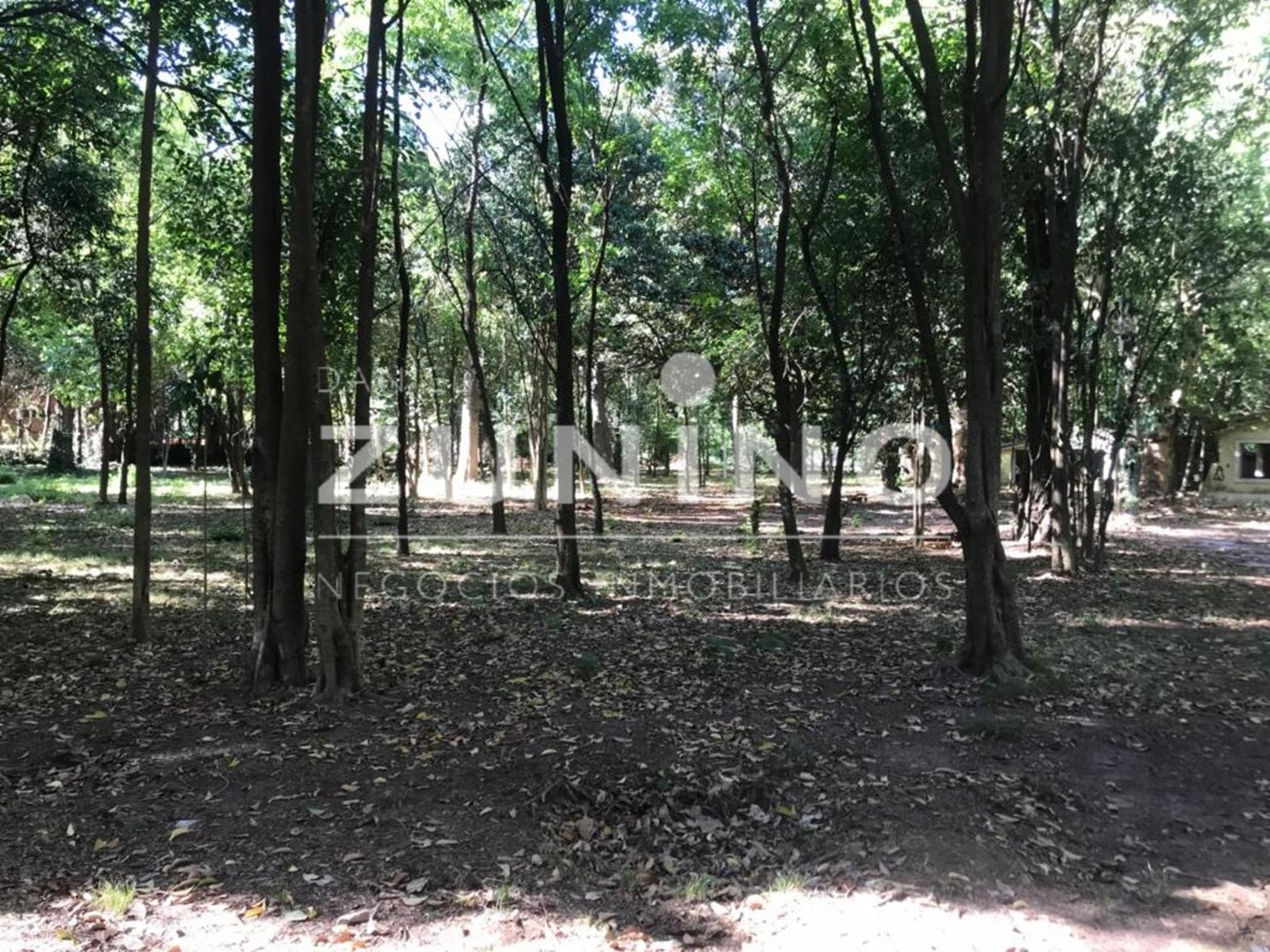 lotes en venta el cortijo, consulte precios — foto 4