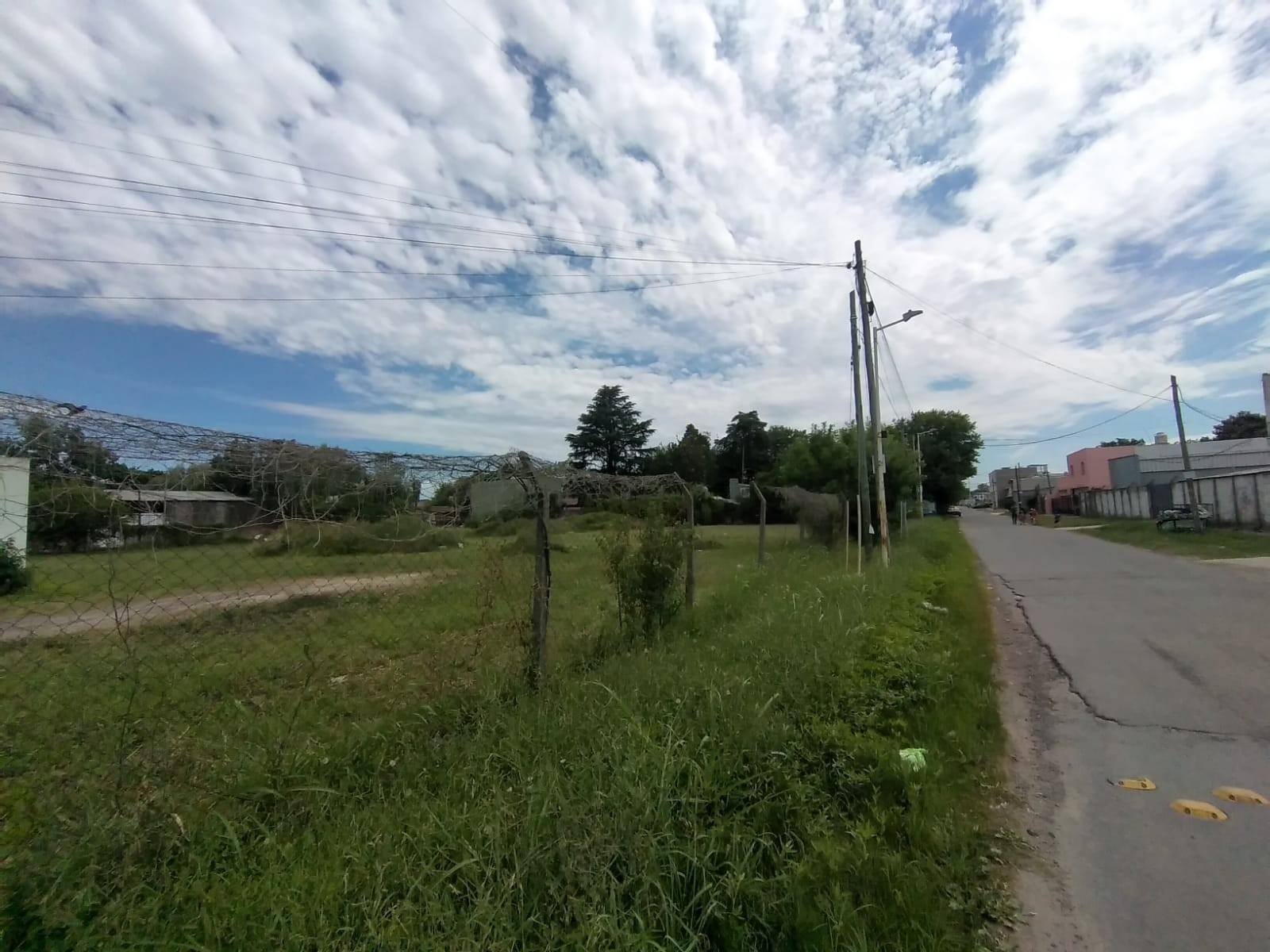 Excelente Terreno en ALQUILER - 7