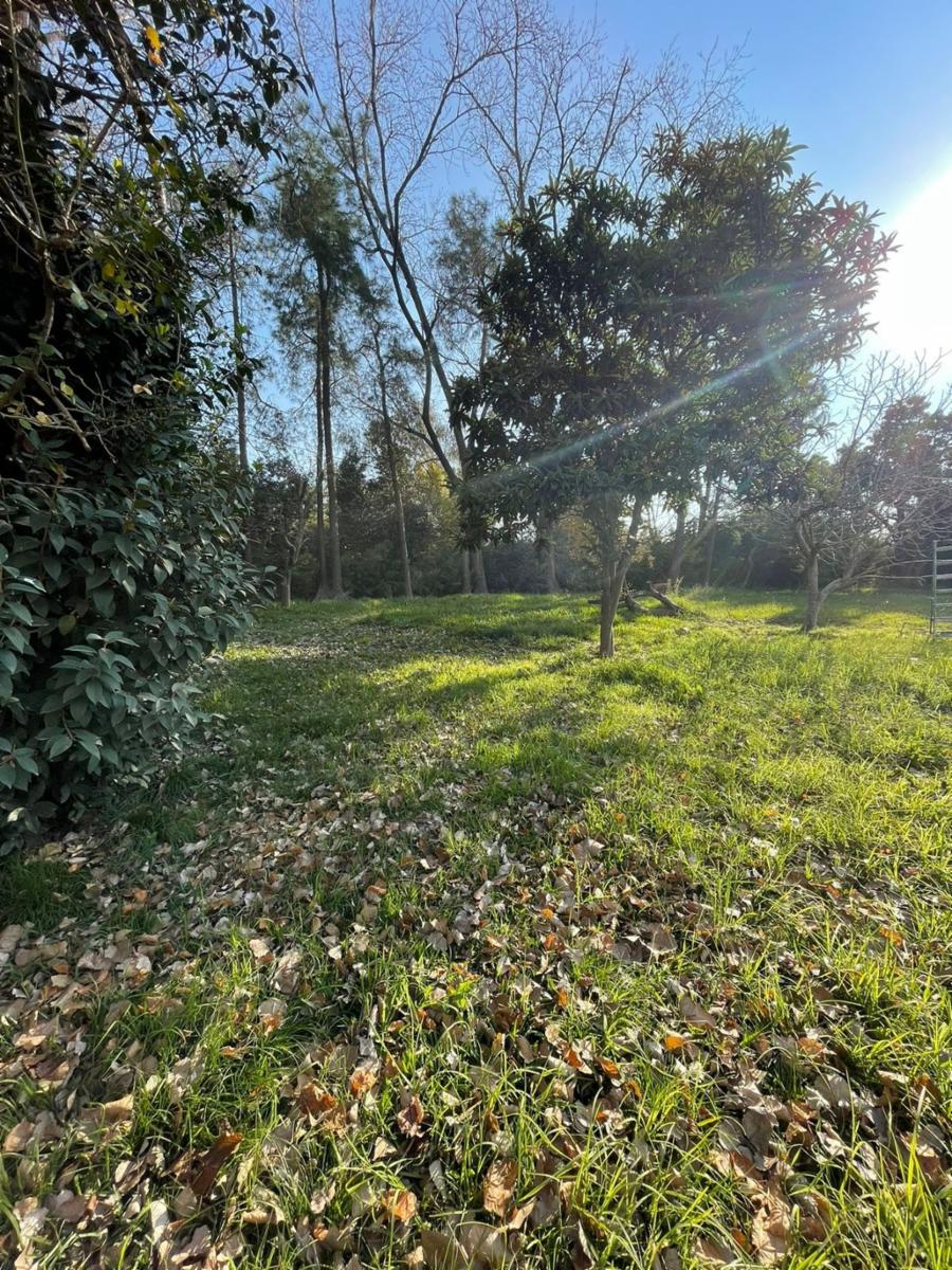 Importante propiedad a la venta en Garín — foto 9
