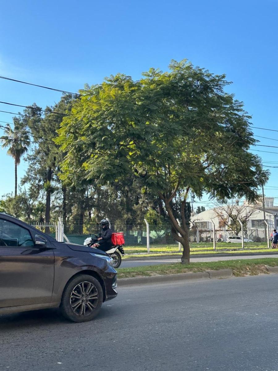 Excelente oportunidad: terreno en excelente esquina — foto 5