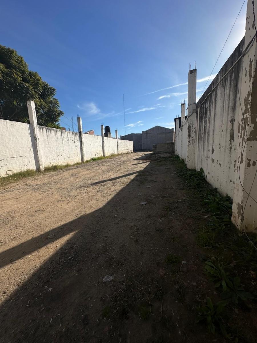 Importante terreno en alquiler - 19