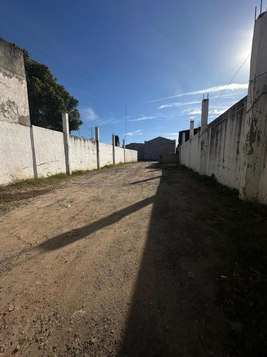 Importante terreno en alquiler - 22