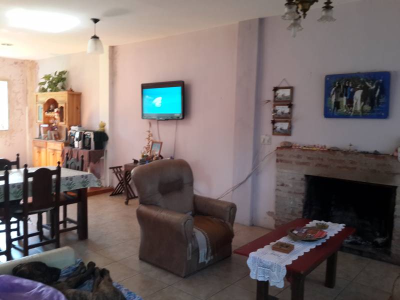 QUINTA CON LOSA DE 600 M2, IDEAL HOGAR DE NIÑOS, GERIATRICO, MUTUAL, ETC - 3