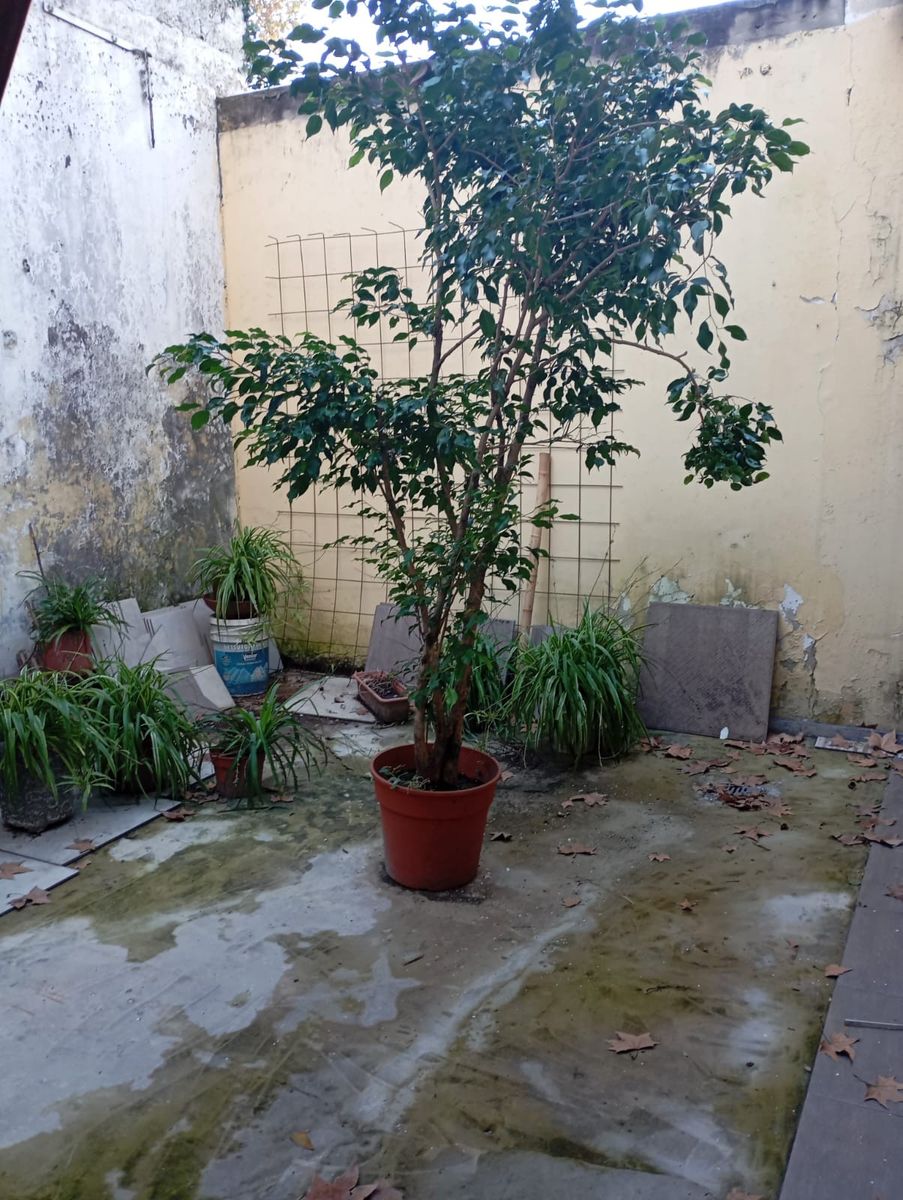 se vende ph 3 amb con 2 patios y entrada independiente — foto 4
