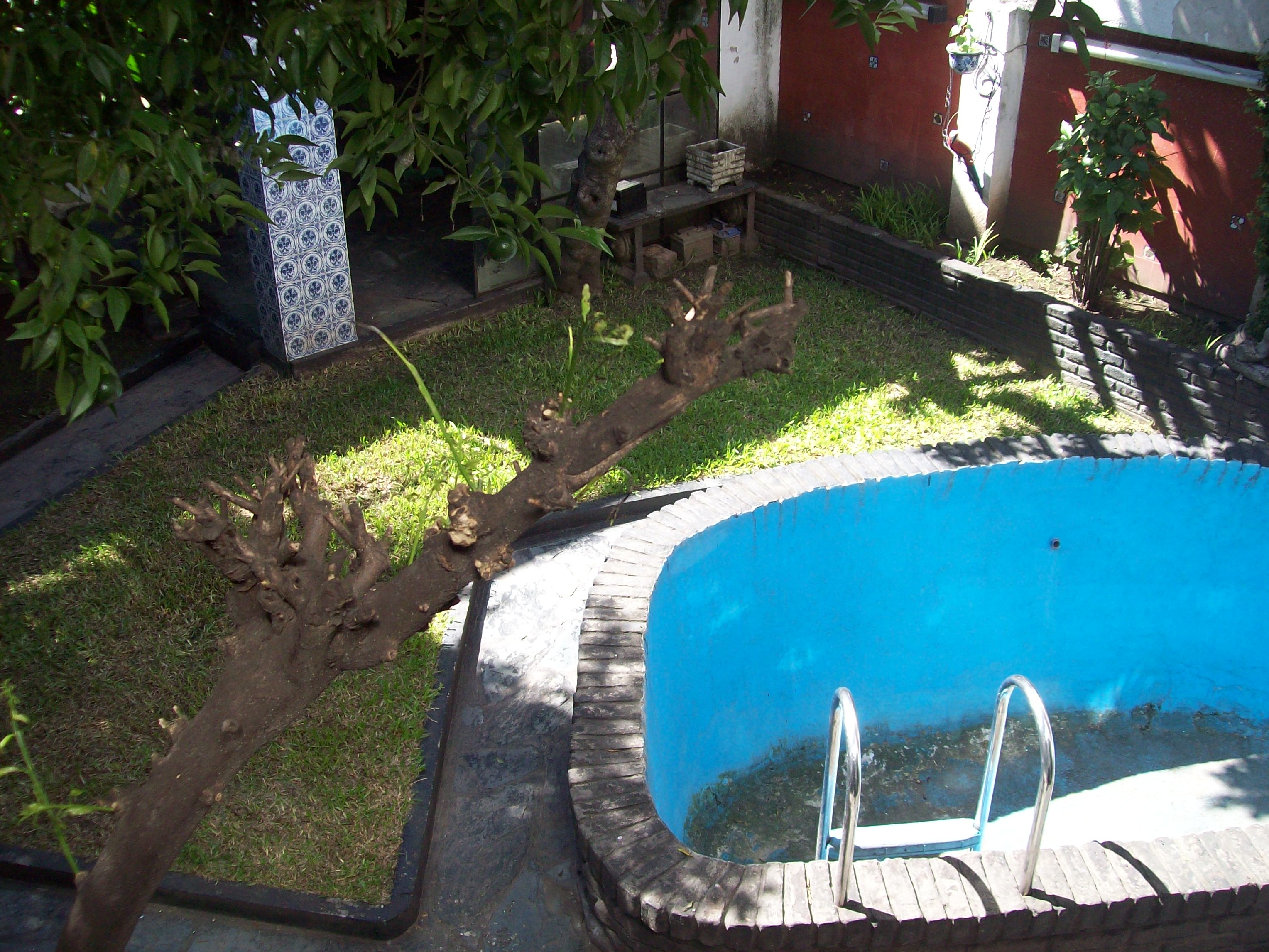 EXCELENTE CASA CON LOTE PROPIO, PARQUE, PILETA, JARDIN DE INVIERNO, TERRAZA, GARAGE — foto 7