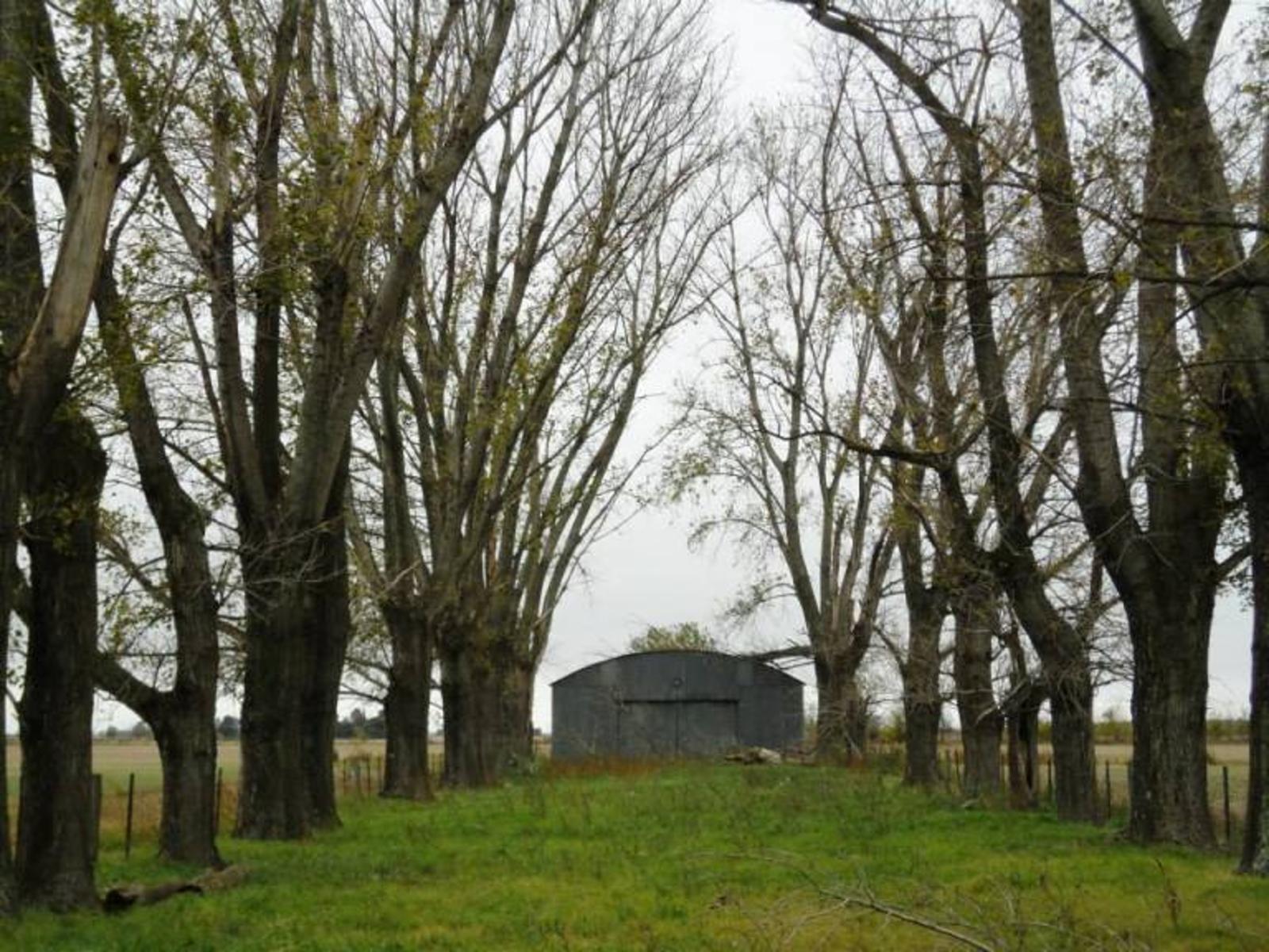Se vende campo de 104 hectáreas ubicado en Carmen de Areco, Provincia de Buenos Aires - 4