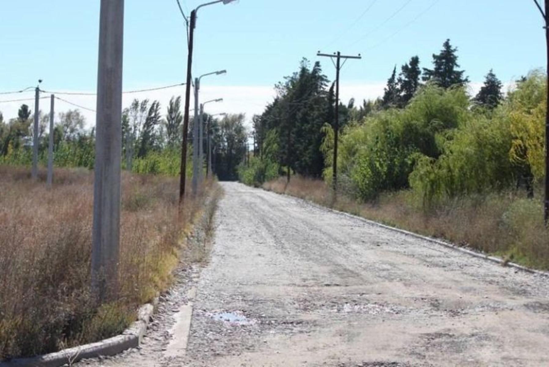 Terreno de 393 m2 en el Loteo Los Frutales - Plottier — foto 2