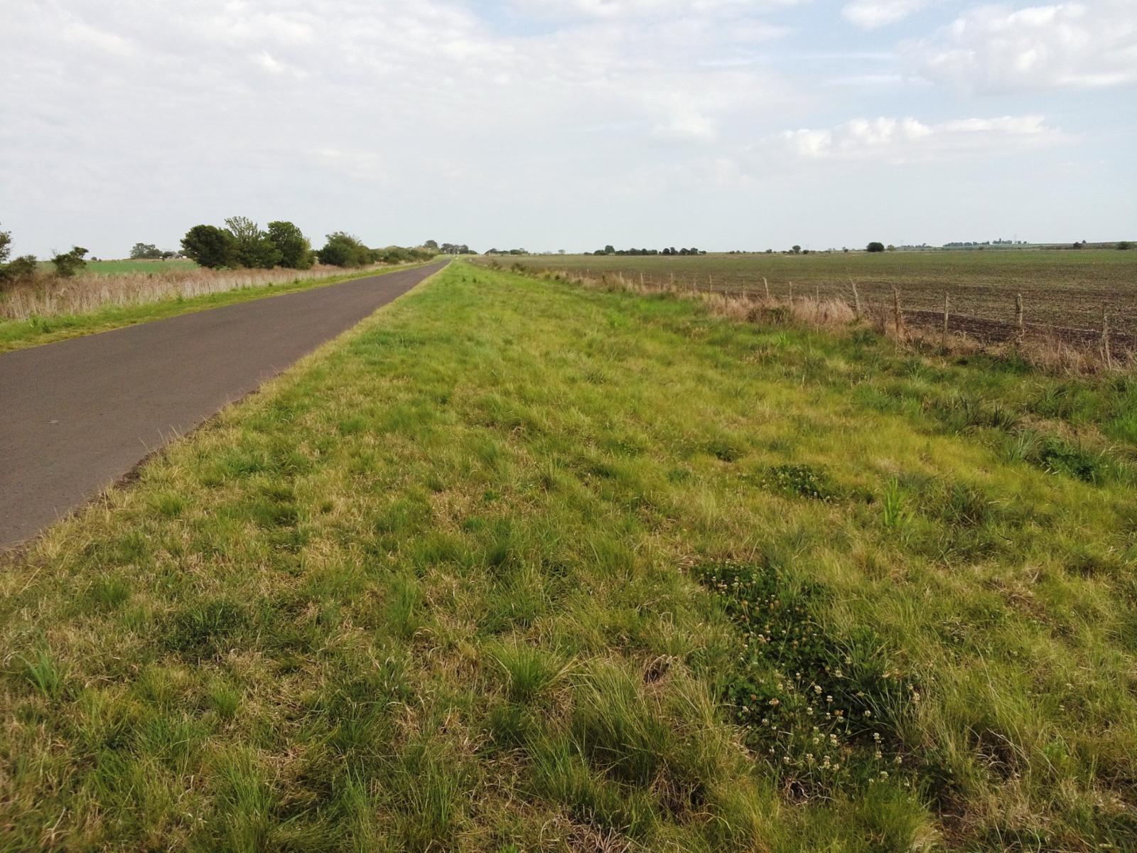 VENDO EXCELENTE CAMPO - 6