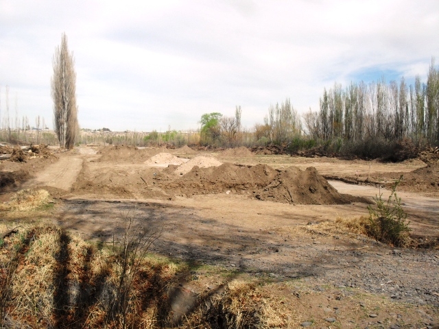 VENDO LOTES EN EL VERGEL — foto 4
