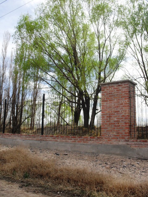 VENDO LOTES EN EL VERGEL — foto 5